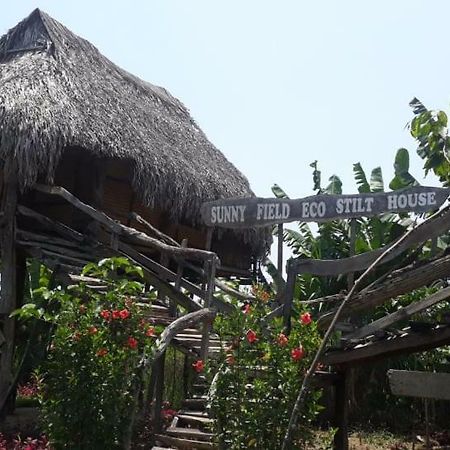 Villa Sunny Field Eco Stilt House à Cat Tien Extérieur photo