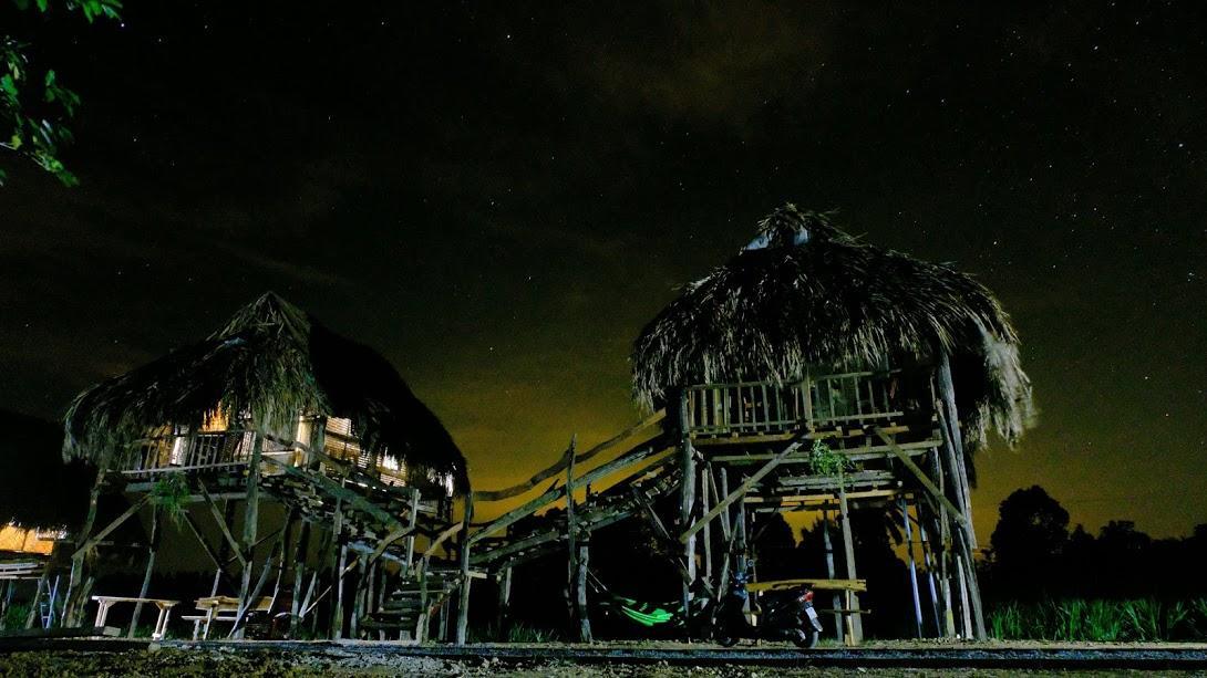 Villa Sunny Field Eco Stilt House à Cat Tien Extérieur photo