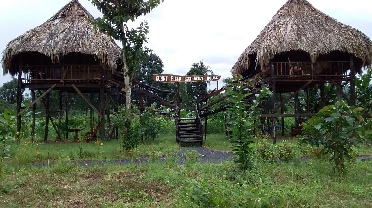 Villa Sunny Field Eco Stilt House à Cat Tien Extérieur photo
