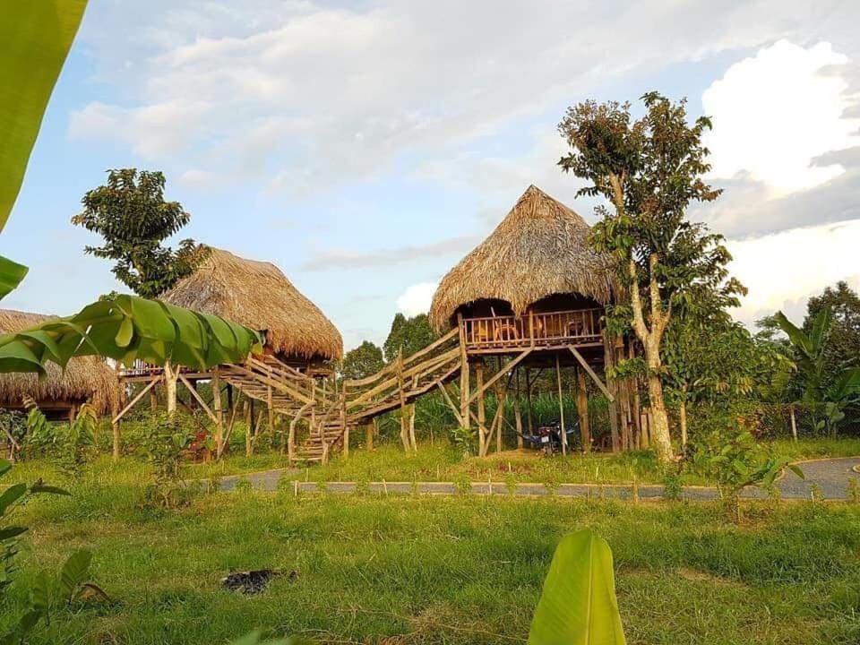 Villa Sunny Field Eco Stilt House à Cat Tien Extérieur photo