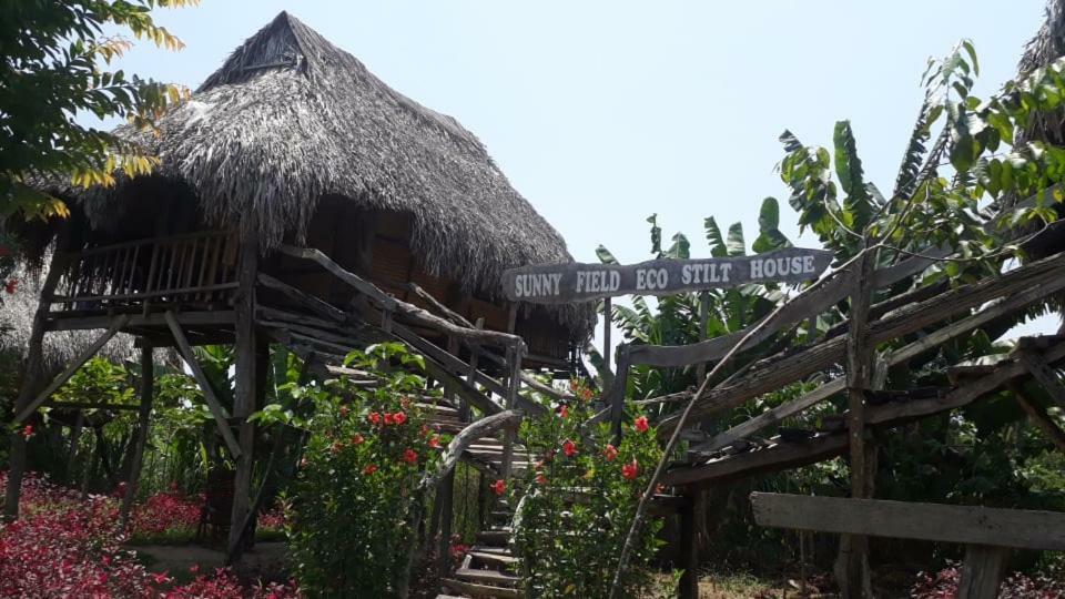 Villa Sunny Field Eco Stilt House à Cat Tien Extérieur photo